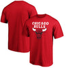Chicago Bulls T SHIRT