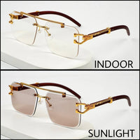 Solar Magic Cheetah Glasses (Transition Brown)